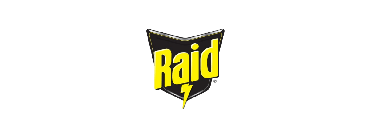Jusqu'à 45 % de réduction Raid
